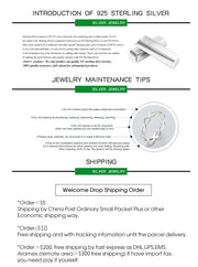 925 Sterling Silver Earrings For Women