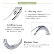 925 Sterling Silver Earrings For Women