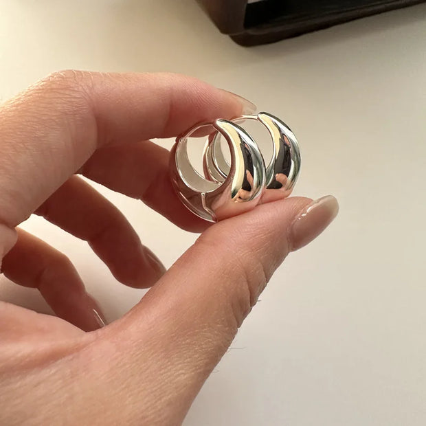 925 Sterling Silver Earrings For Women