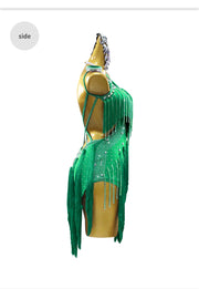 Womens Latin Dance Dresses Competition CostumeSuit