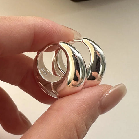 925 Sterling Silver Earrings For Women